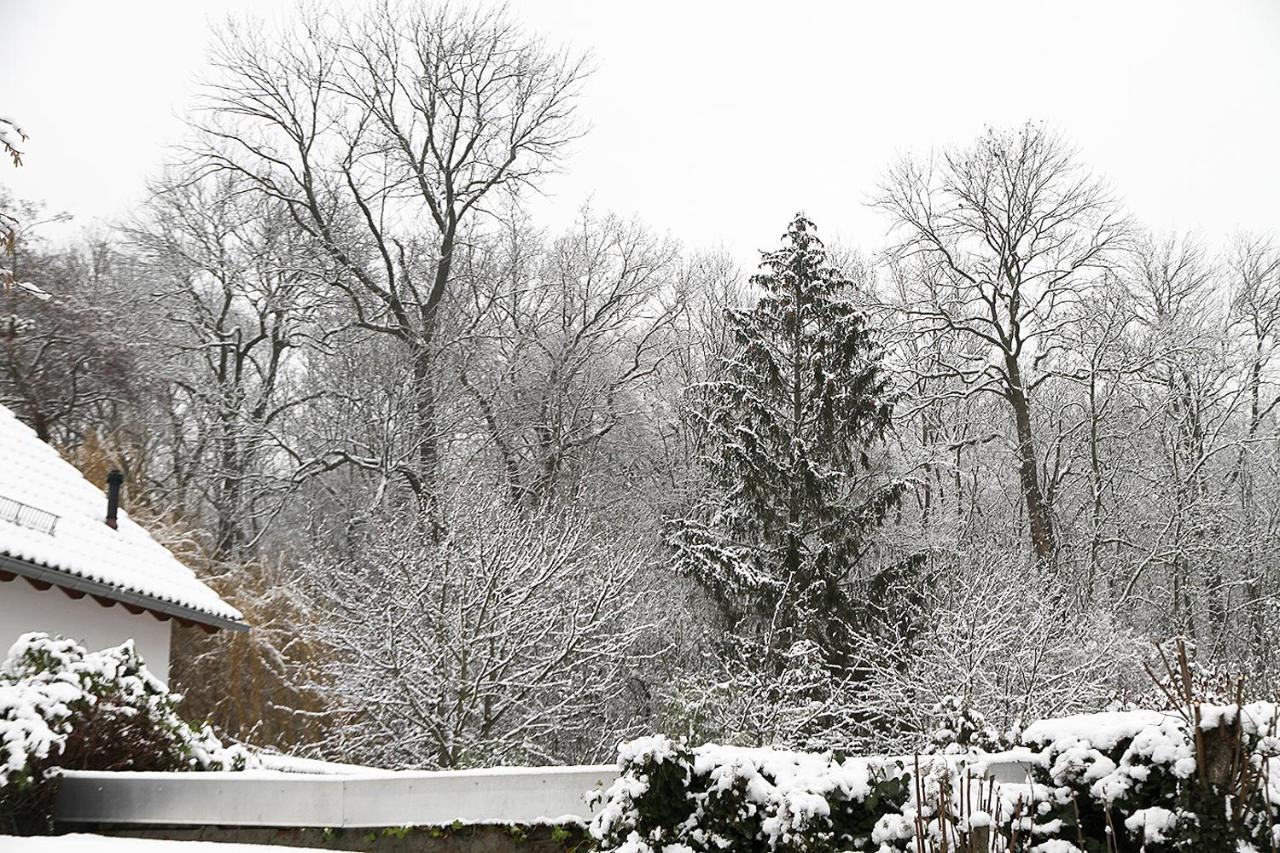 Haus Mit Kunst Zwischen Wald Und See Leipzig Bagian luar foto