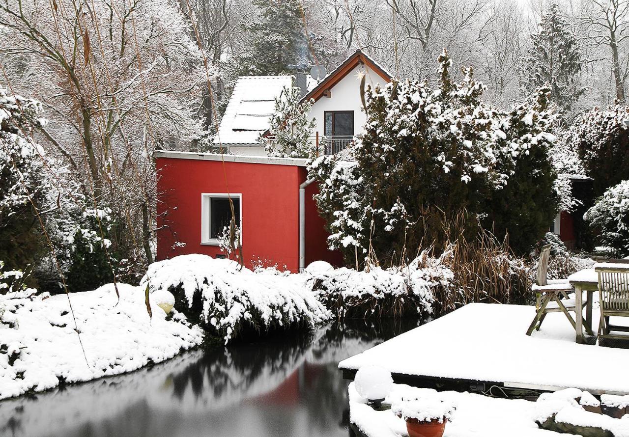 Haus Mit Kunst Zwischen Wald Und See Leipzig Bagian luar foto